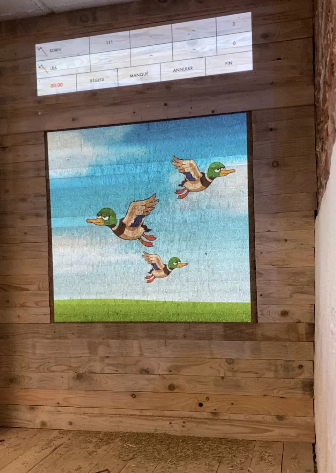 Des canards en vol traversent la cible projetée