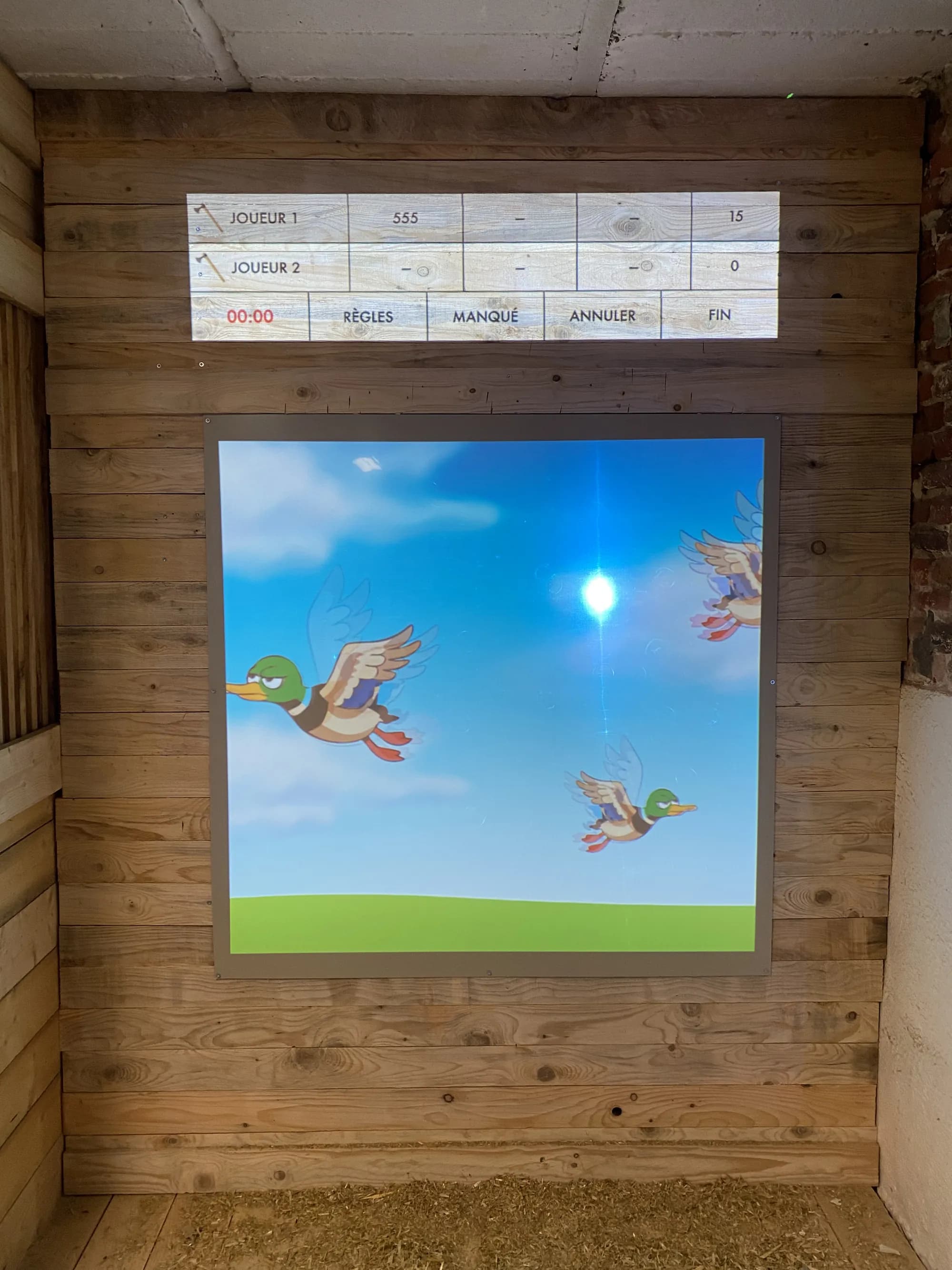 Le jeu Tir aux canards projeté sur une grande cible en plastique clair adaptée aux ventouses